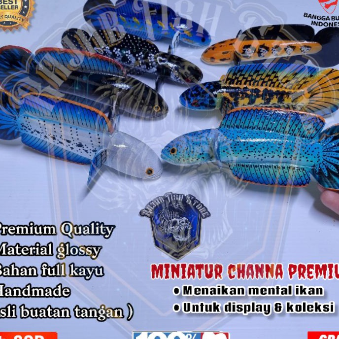 Belanja Cerdas Patung channa premium  miniatur cana barca pulcra sterwarti limbata