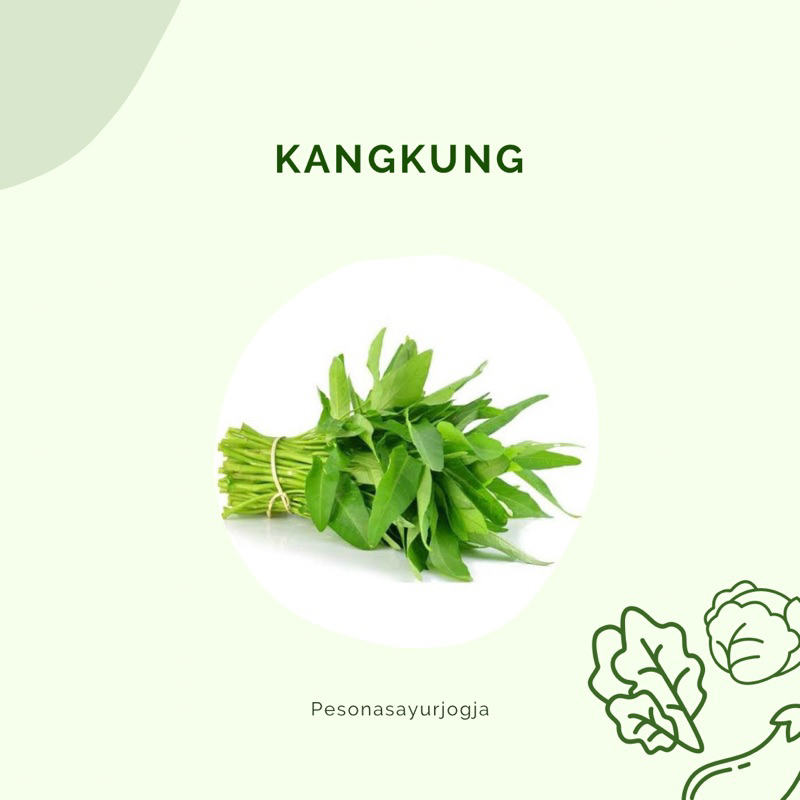 

KANGKUNG