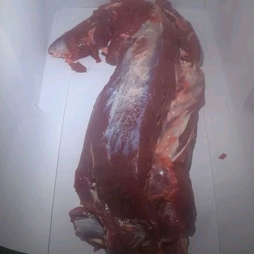 

Tenderloin (Has Dalam) Fresh 500gr