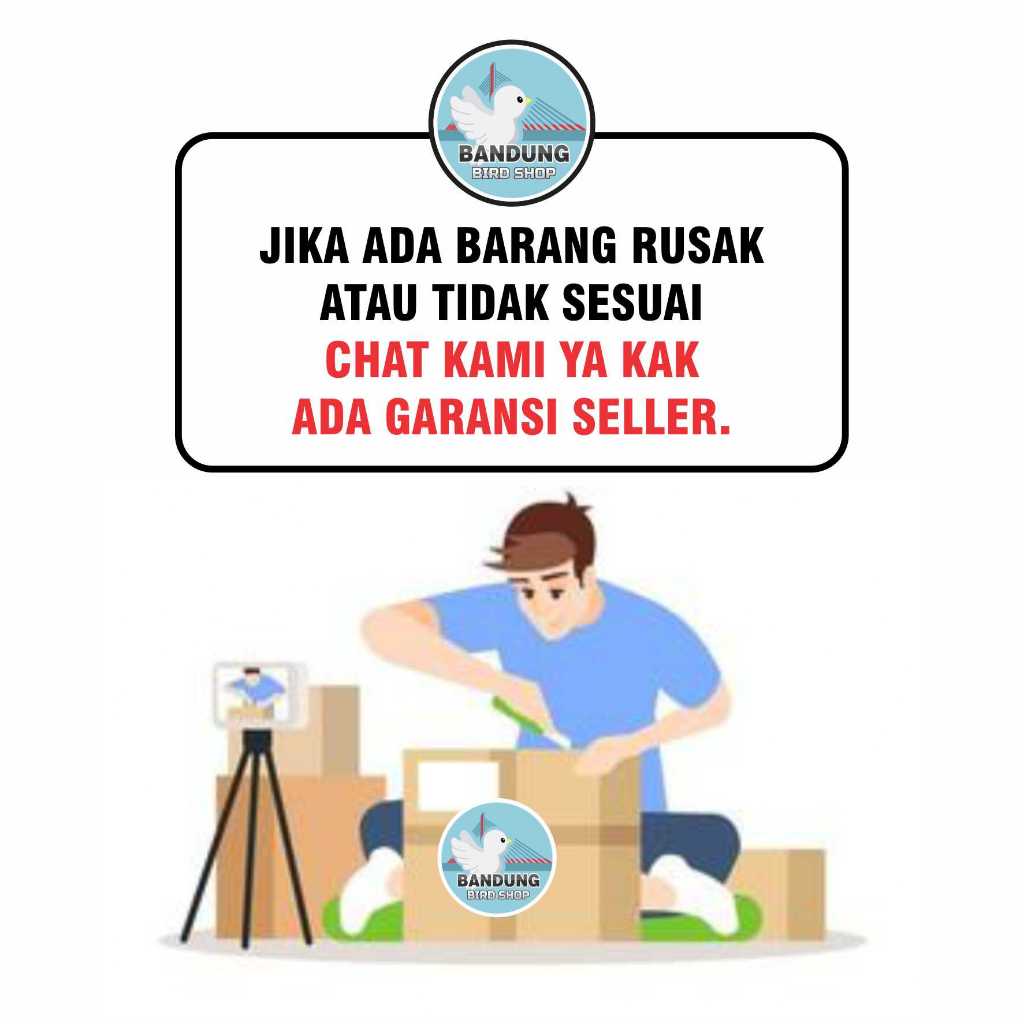 GAL JEWAWUT 1 KG PAKAN BIJI JEWAWUT BIJI KUNYIT SORTIRAN UNTUK BURUNG KENARI LOVEBIRD FINCH SISKIN