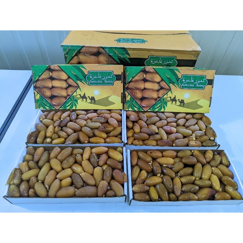 

kurma muda kurma ruthob segar