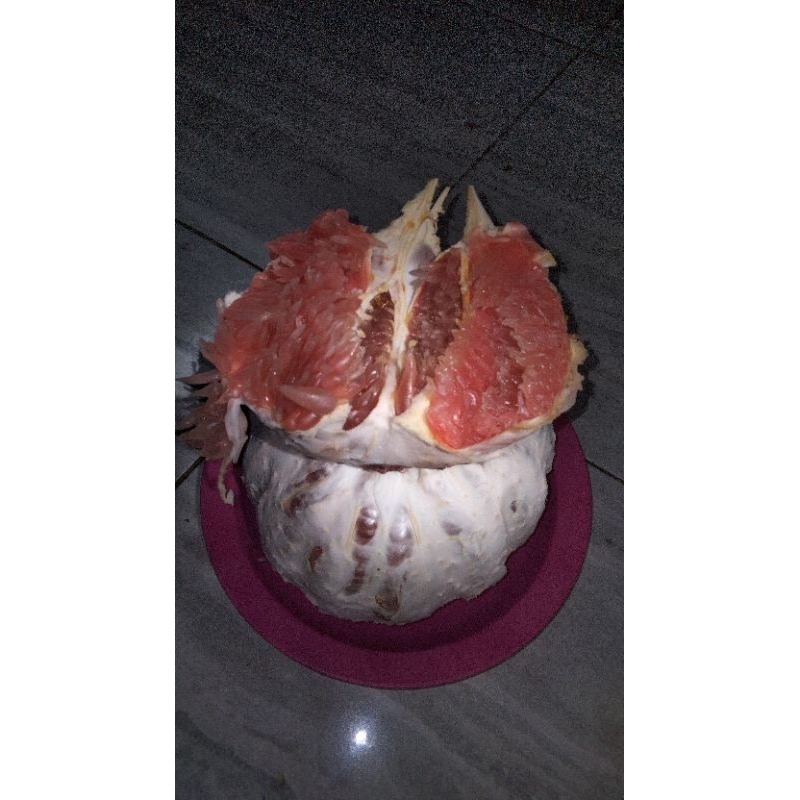 

Jeruk Segar Gembong