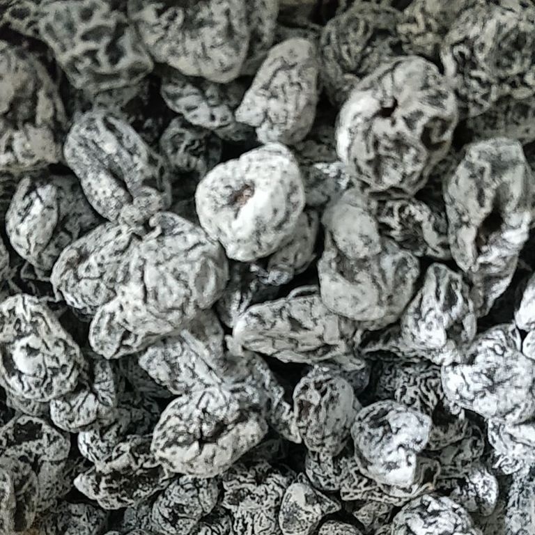 

TNS845 77 Kiamboy putih non biji 1gram