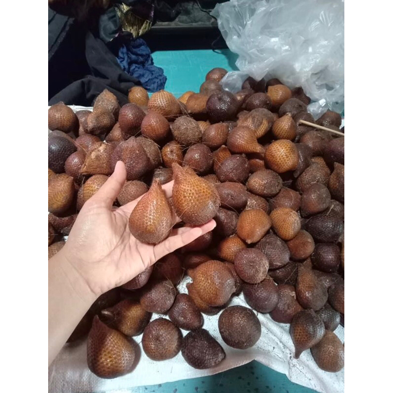 

salak sidempuan fresh 1kg