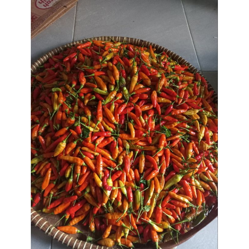 

Cabe rawit merah domba 100gram cengek pedas