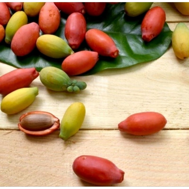 

BUAH MELINJO 250G / JAMIN SEGAR