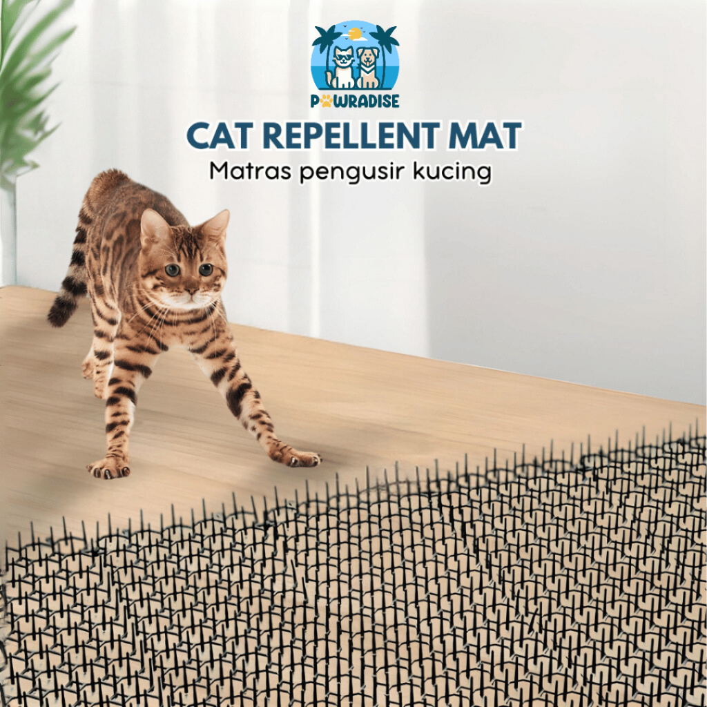 Matras Pengusir Kucing – Cat Repellent Mat Duri Plastik Anti Kucing untuk Taman & Rumah