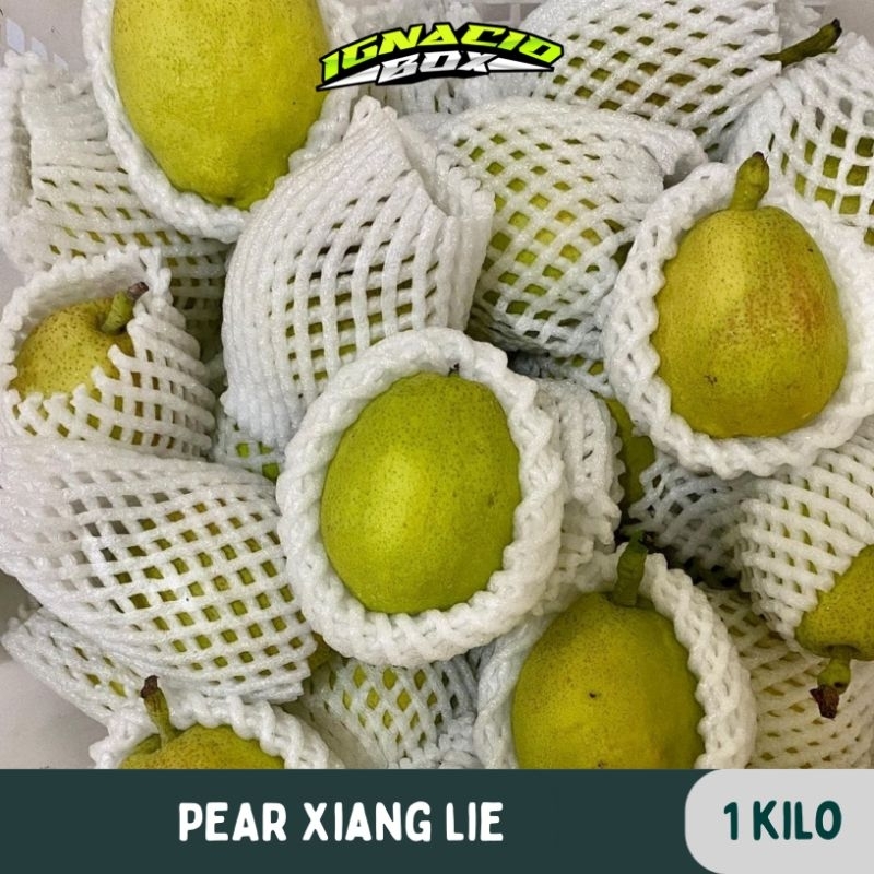 

Buah Pir/Pear Xianglie PEAR HIJAU MANIS 1kg Fresh Import IgnacioBox