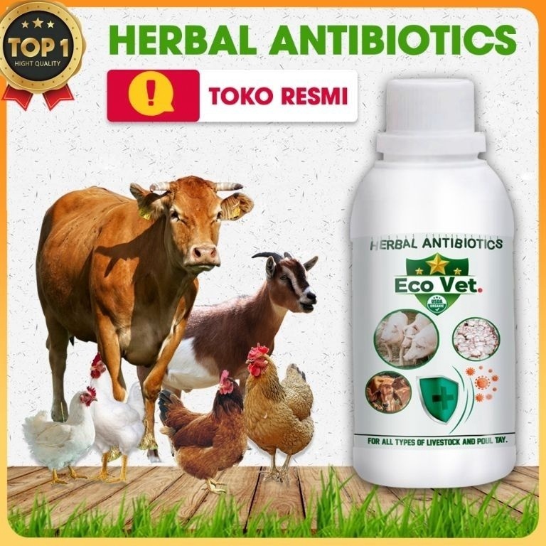 Murah Eco Vet Herbal Antibiotik 25 gram  Ecovet Original 25 gr  Ecovet By Garden