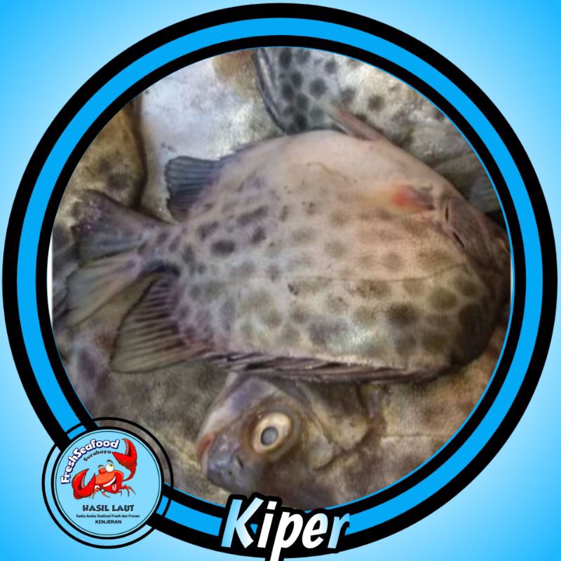 IKAN KIPER SEGAR 1 KG