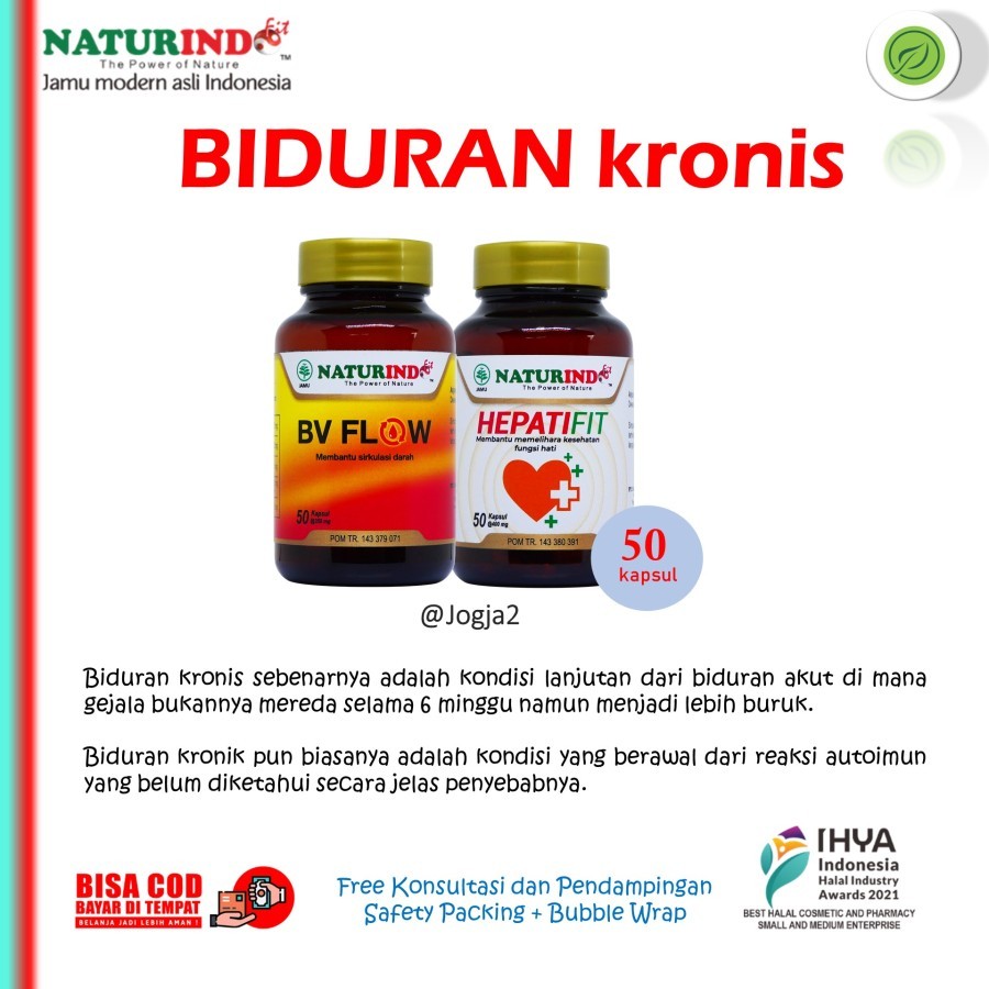 Obat Biduran Ampuh Biduran Akut Gatal Gatal Hepatifit Naturindo