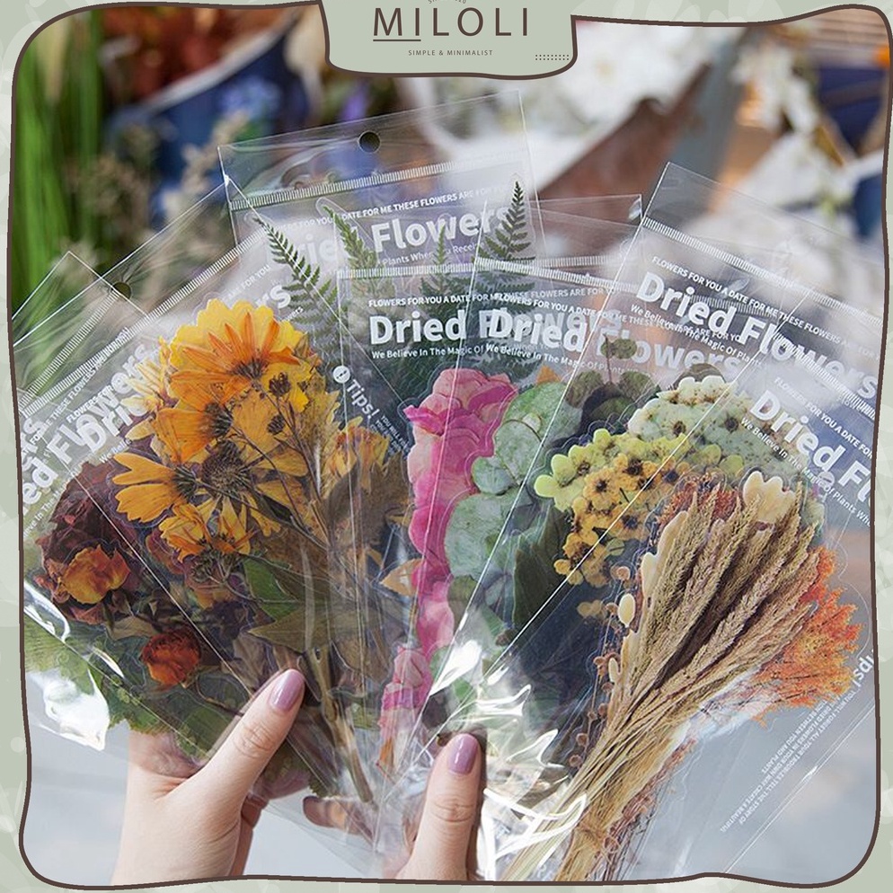 

YNC175 MILOLI 6Pcs DRIED FLOWER Deco Aesthetic PET Sticker Planner DIY Scrapbook B412