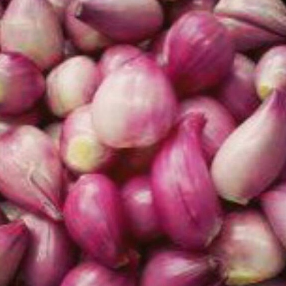 

PALING AMPUH Bawang Merah Kecil Kupas 5 gr
