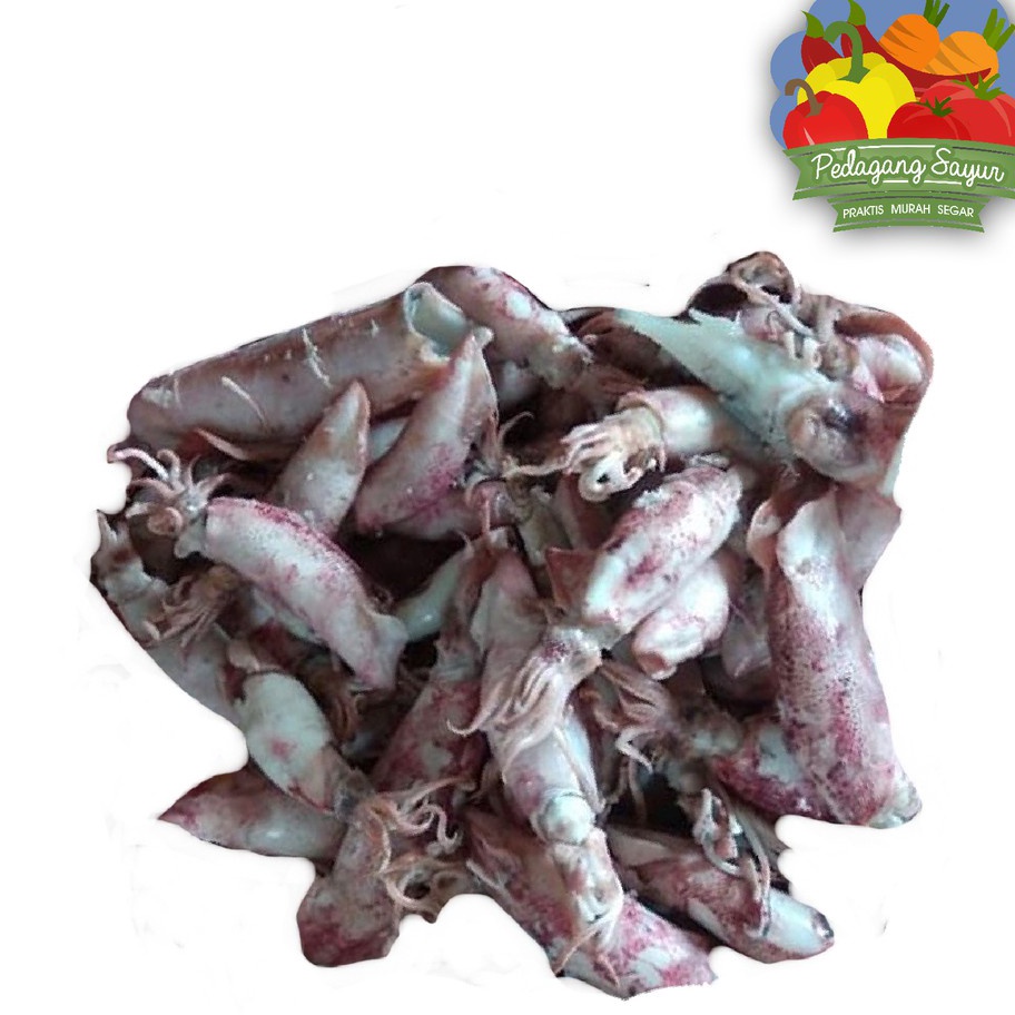 

READY STOK Ikan Asin Sotong Jarum Cumi Asin 1 Gram