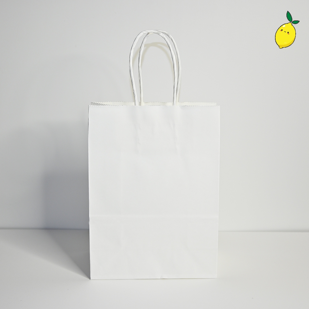 

Paper Bag / Tas Kertas Polos Coklat & Putih Small ND2203