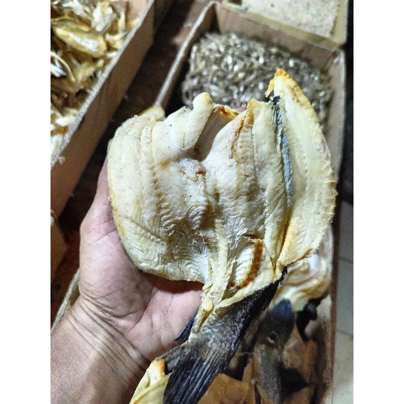 

IKAN GABUS ASIN KERING 500gram