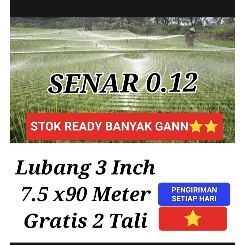 JARING BURUNG JARING PADI JARING EMPRIT JARING SAWAH 7,5 x 90 METER JEBAKAN PERANGKAP BURUNG JARING
