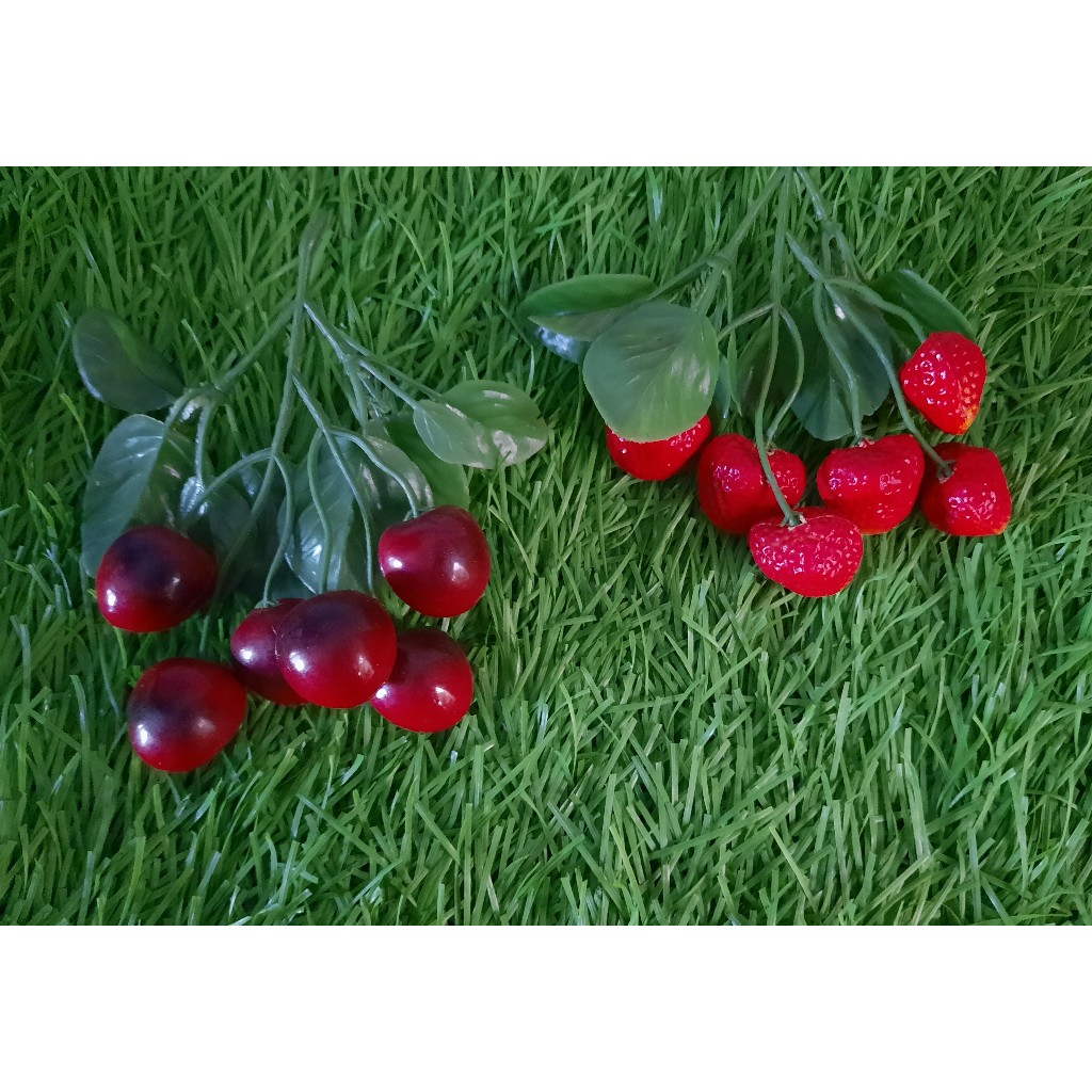 Hiasan Dapur Buah-Buahan