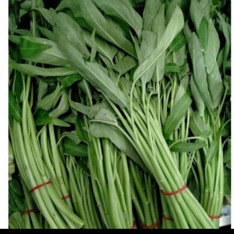 

kangkung/water spinach 1 bunch