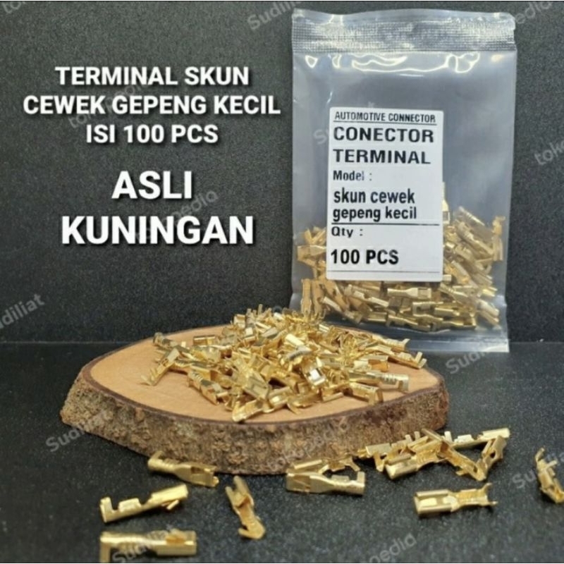 SKUN MINI TERMINAL MALE DAN FEMALE GEPENG KECIL