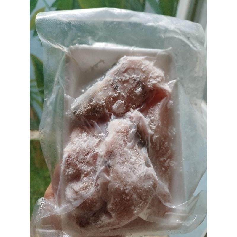 

Fillet Kakap 250gr Frozen