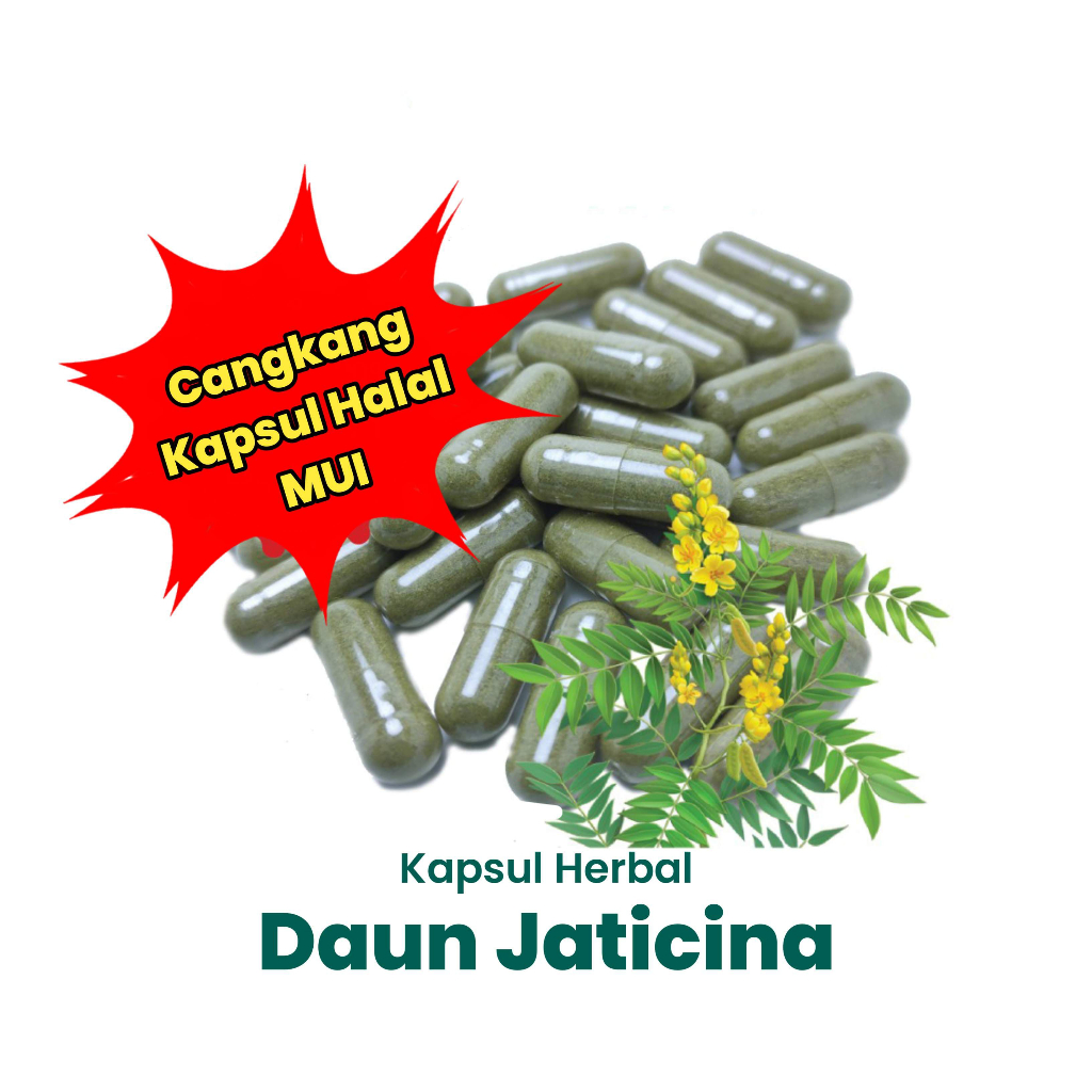 

Kapsul/Serbuk Daun Jati Cina (isi 100 pcs)