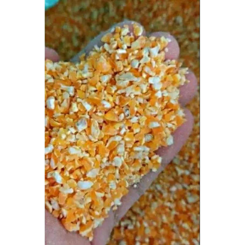 

Beras menir jagung 1 kg