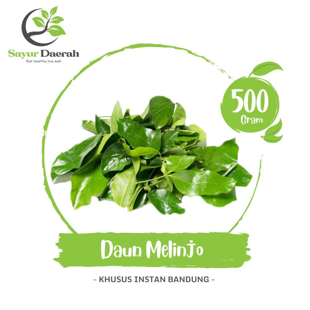 

Daun Melinjo 500 Gr | Sayur Daerah