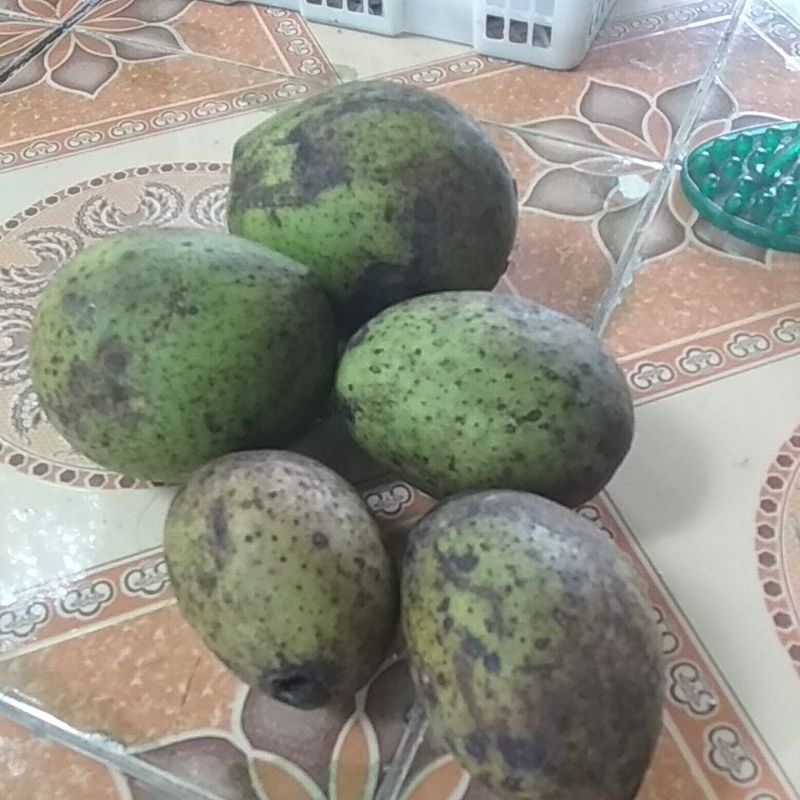 

MANGGA PAKEL RUJAK AN 1KG