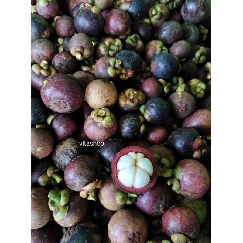 

BUAH MANGGIS 500gr
