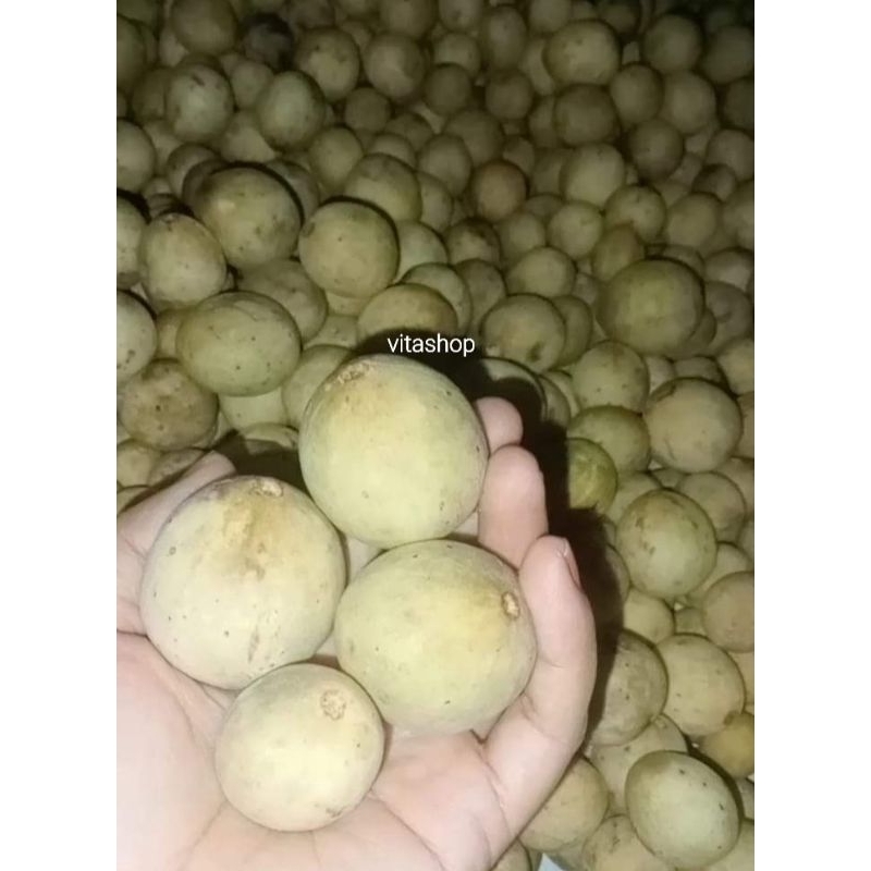 

BUAH DUKU 500gr