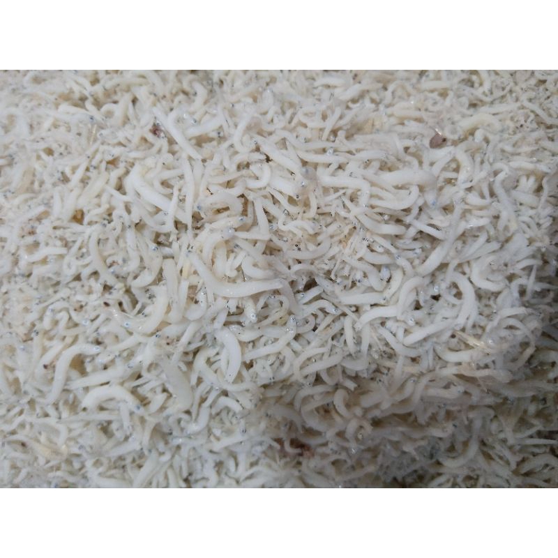 

tri nasi (ukuran sedang) per 1 kg