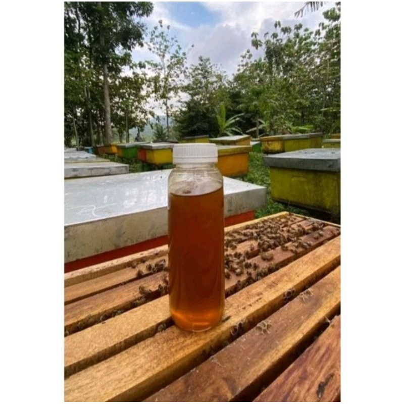 

Madu murni asli 250ml - madu murni king lemon