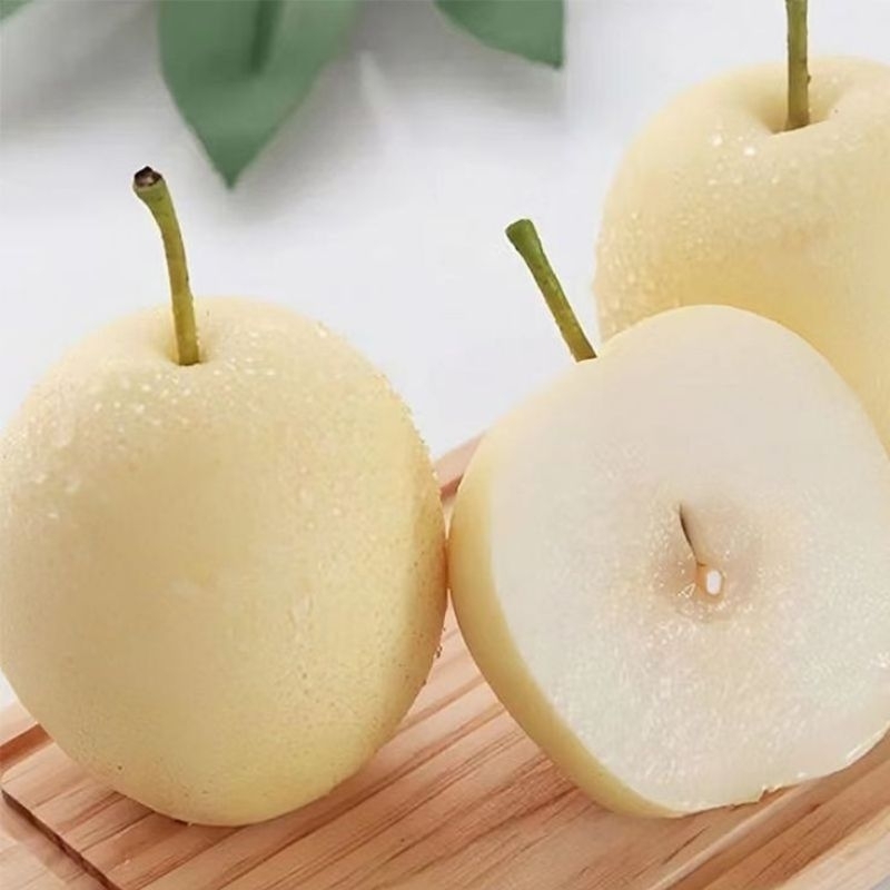 

TERBAIK Buah Pear Century Fresh 1 Kg Kulitas Supermarket
