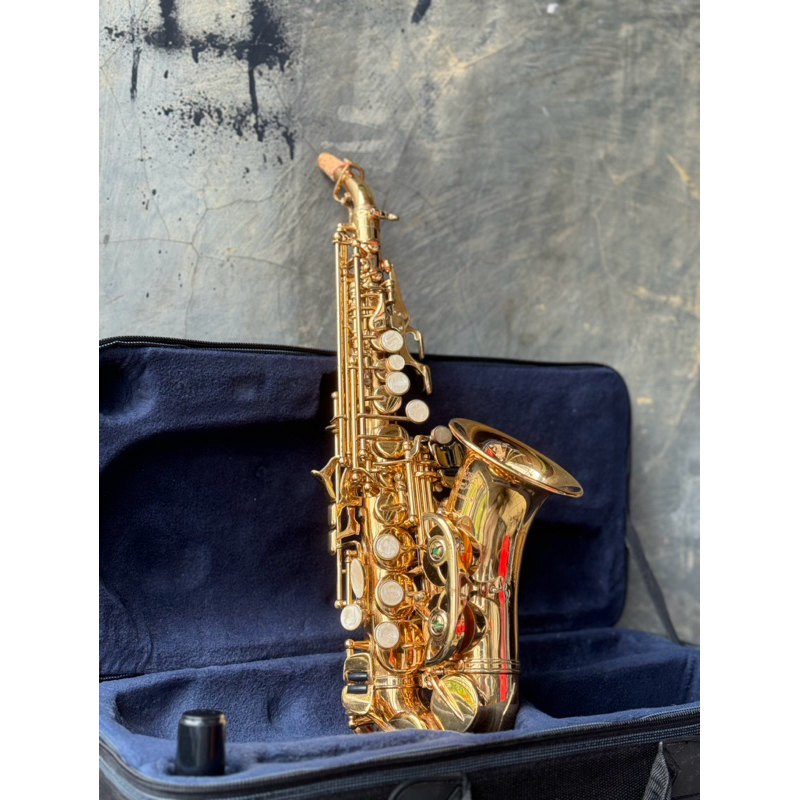 Baby saxophone walker