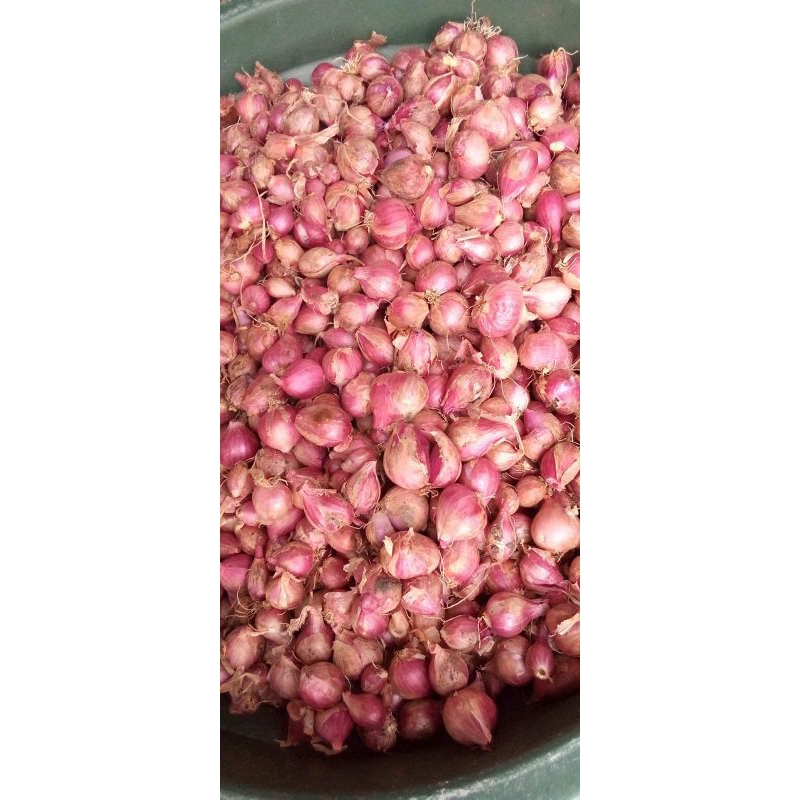 

bawag merah 1/2 kg