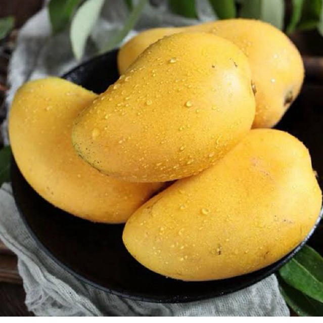 

Mangga Thailand Namdokmai | Mangga Susu Thailand 1 Kg