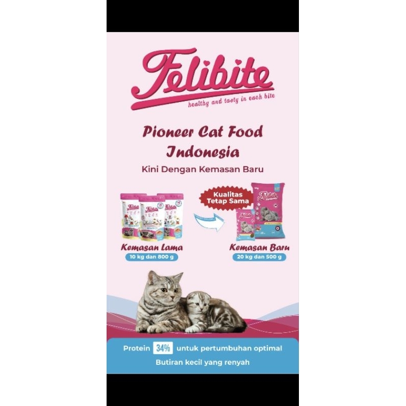 FELIBITE MOTHER KITTEN 500gr