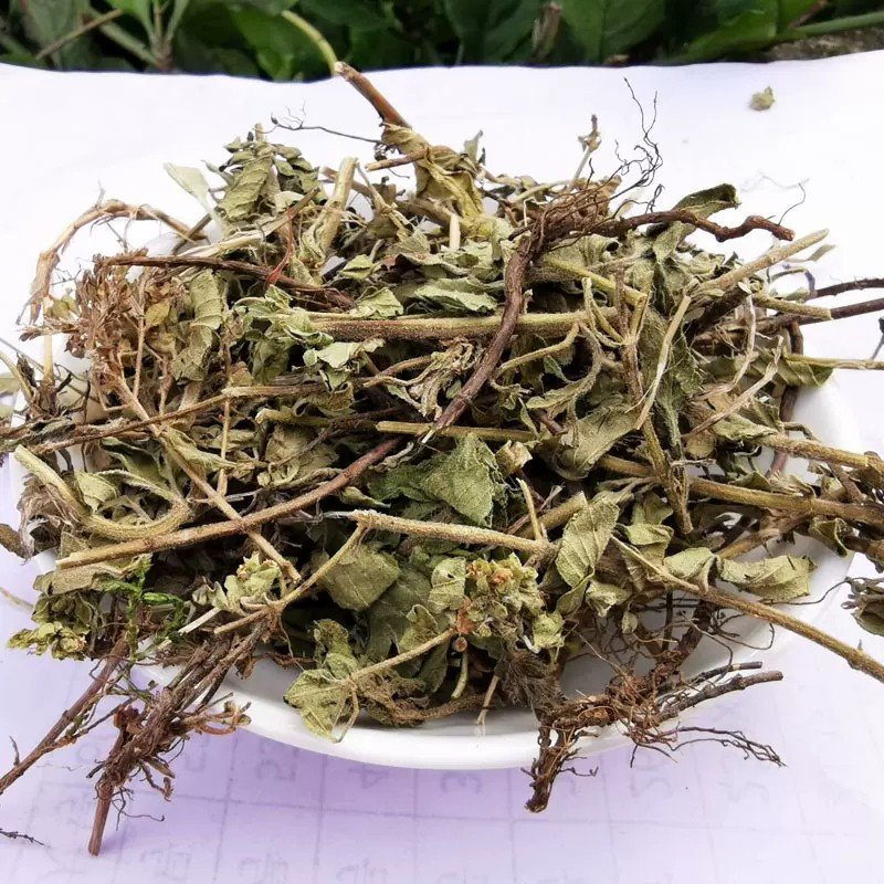 

Lv Yin Chen/Tu Yin Chen 绿茵陳 土茵陈 Oregano Herb Herba Origani 50 Gr