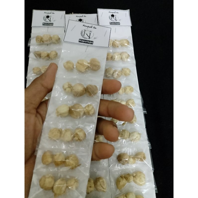 

Bumbu Rempah Kapulaga murah Renceng harga pedagang isi 10 pcs