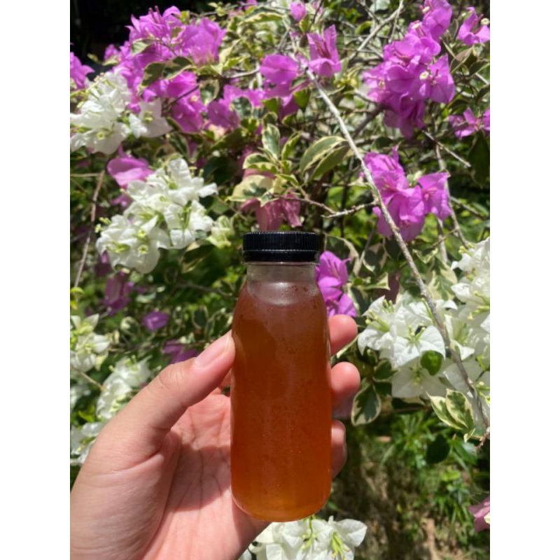 Madu Asli Kelulut/Trigona Hutan Borneo