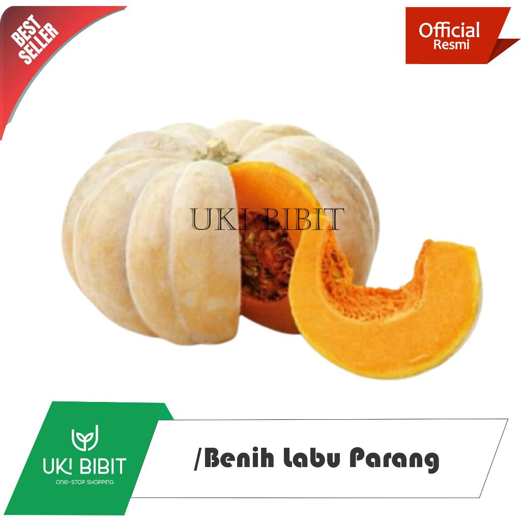 ( 10 Butir ) Benih Labu Parang | Labu Kuning | Waluh Kuning