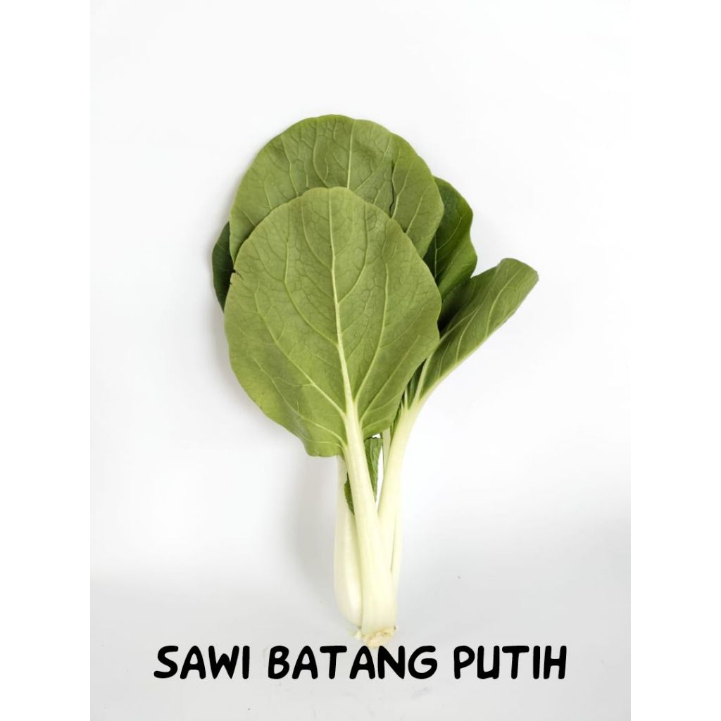 

Sayur Sawi Batang Putih Hidroponik - 250gr