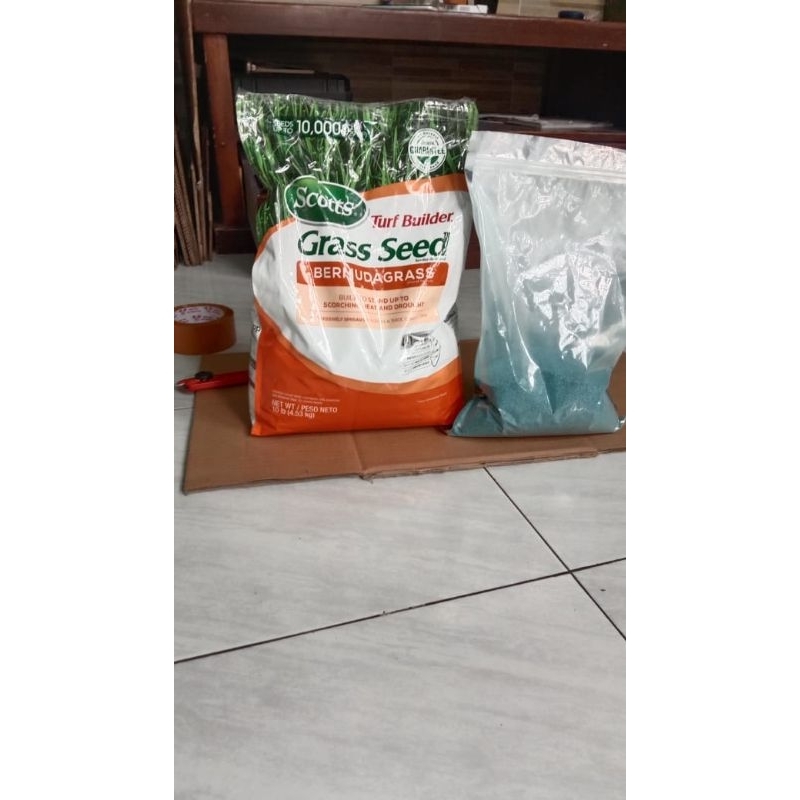 Benih Rumput Bermuda 1kg - Biji Rumput Bermuda