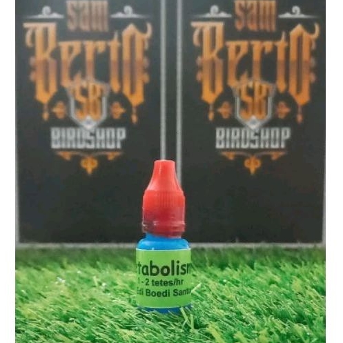 METABOLIS DR EDI SEGEL MERAH