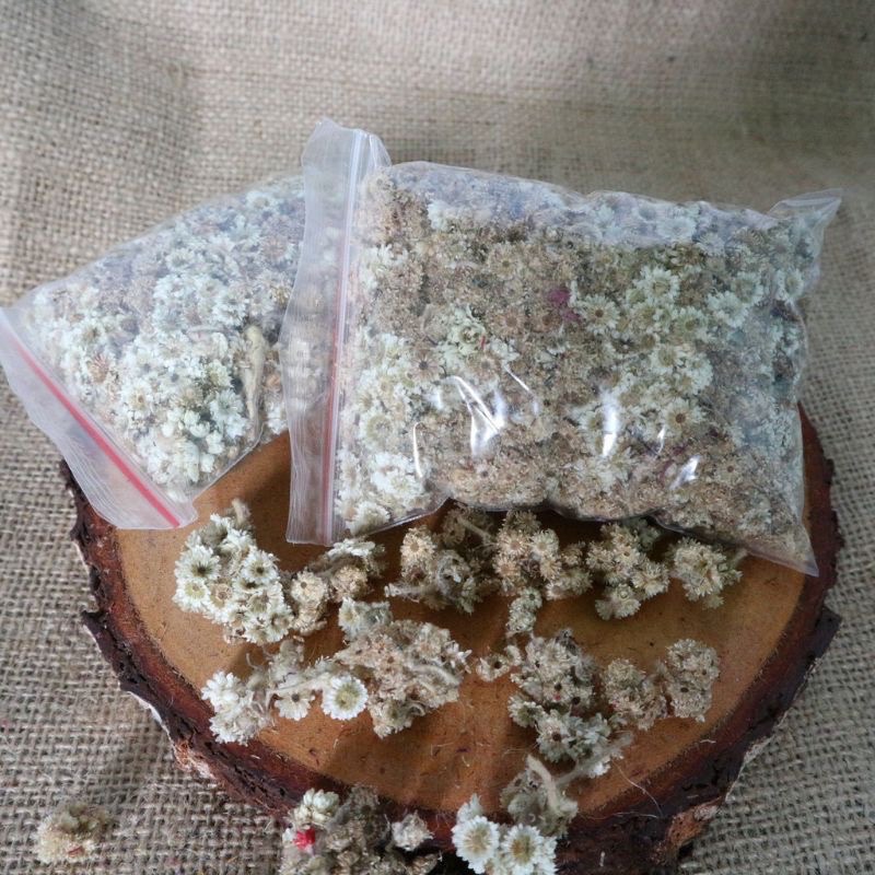 ￼Bunga kering abadi 10gr 5gr untuk bunga dekorasi/bunga bahan mahar/ bunga figura/BUNGA kering edelW