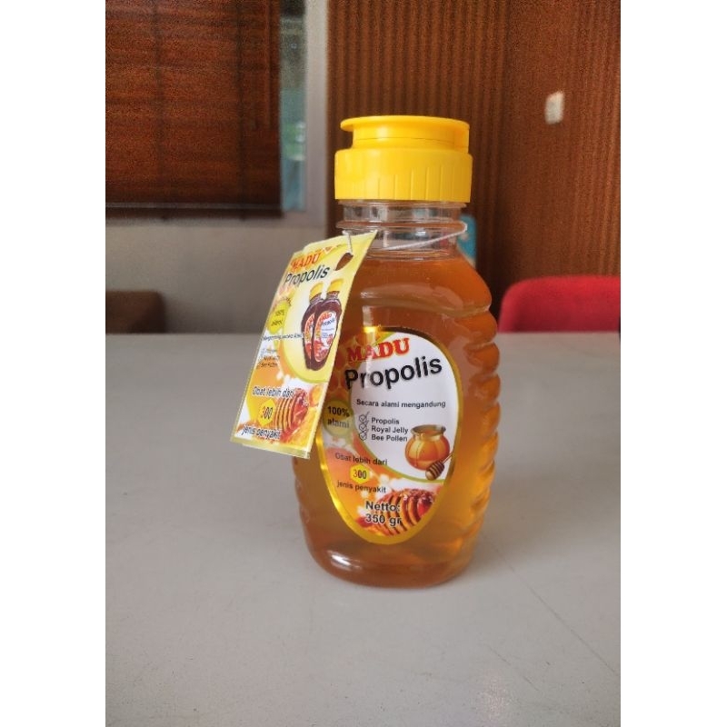 

JUAL MADU PROPOLIS (350gr)