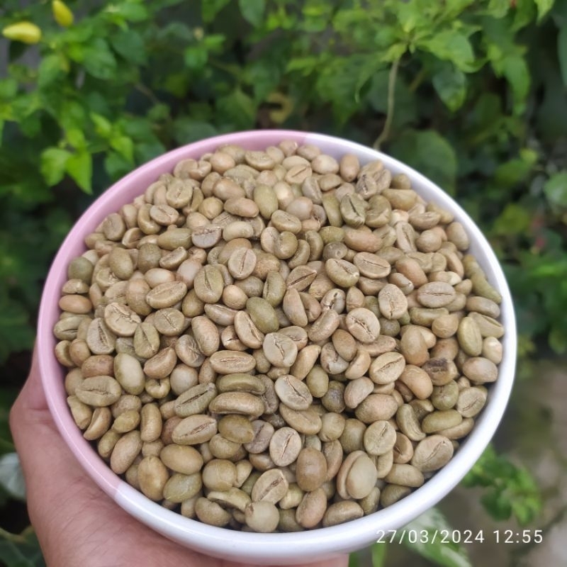 1 kg Biji Kopi Besar Robusta Gunung Kawi Green Bean / Biji Kopi Mentah AMJ FARM