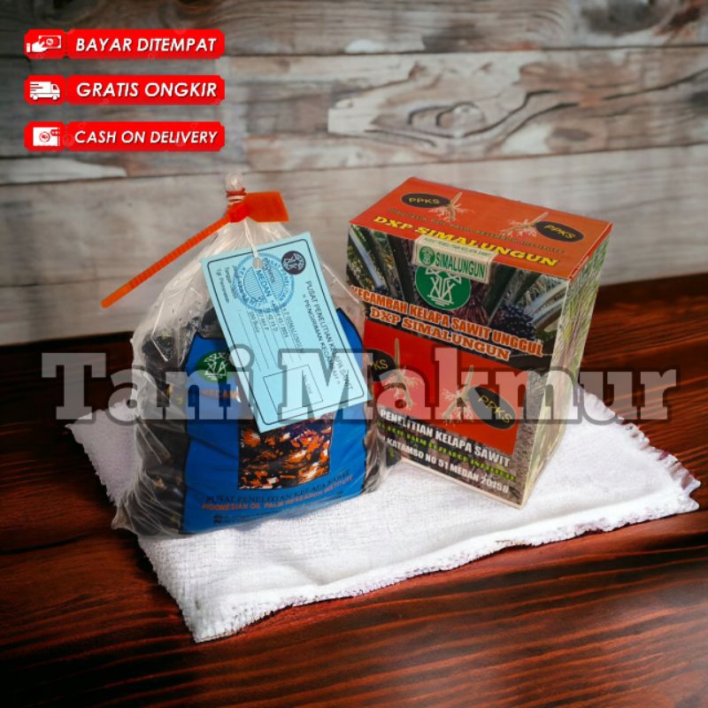 Bibit sawit unggul Simalungun berkualitas