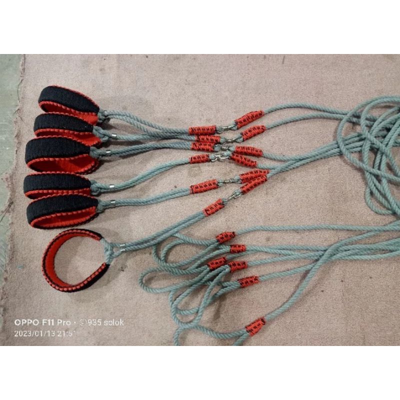 Tali Zaman Now Murah Buat Anjing Tuntun Harian Moro Berburu Tambang Orong Bahan Gor Pesan Sesuai Keb